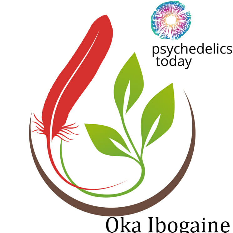 Oka Ibogaine Therapy - David Stetson