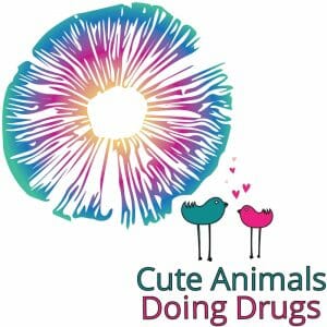 Cute Animals Doing Drugs Banner