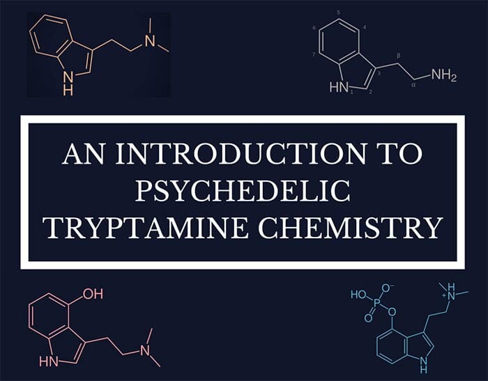 An Intro to Tryptamine Chemistry