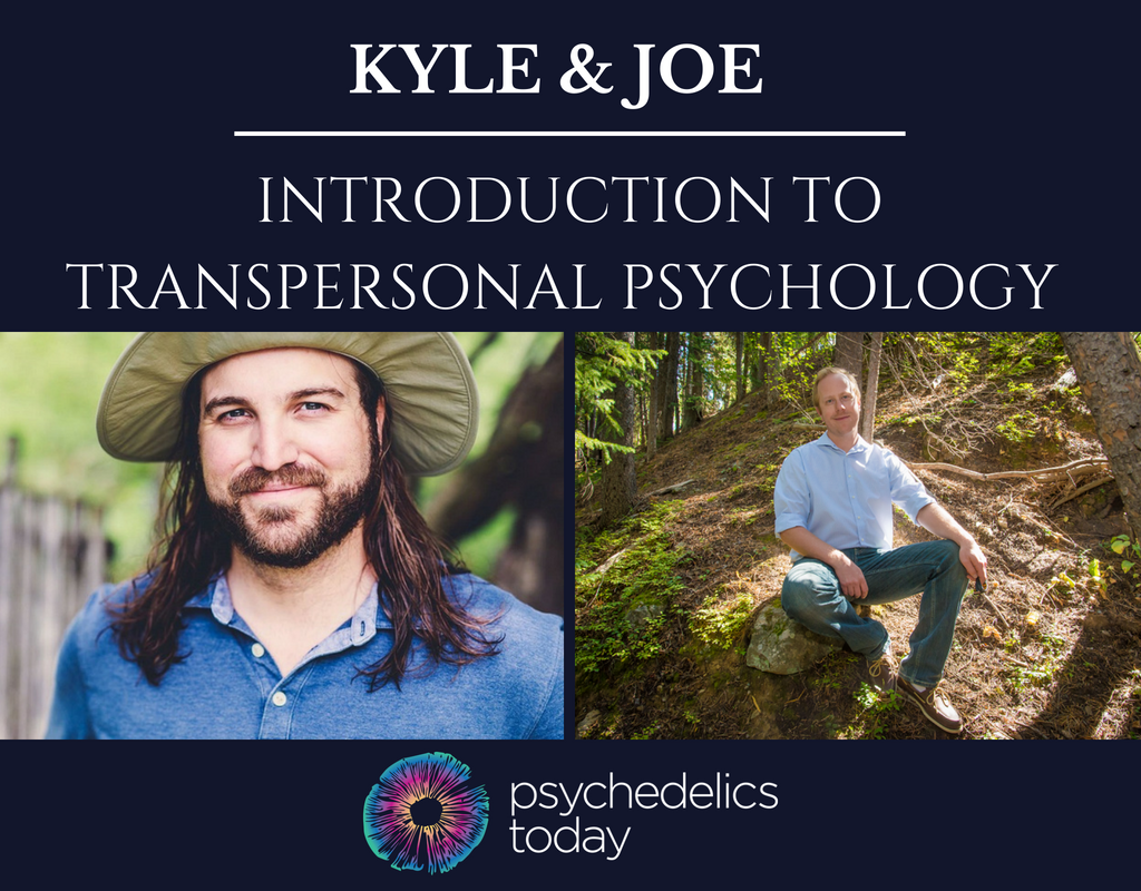 Psychedelic Integration Consulting with Kyle Buller and Joe Moore from Psychedelics Today