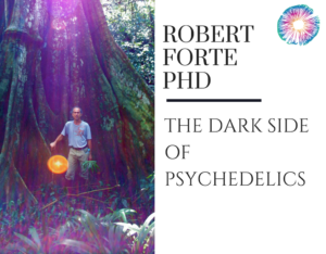 Robert Forte PhD