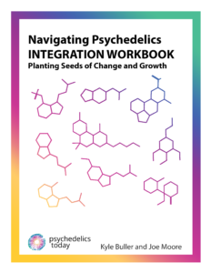 Navigating Psychedelics Integration Workbook