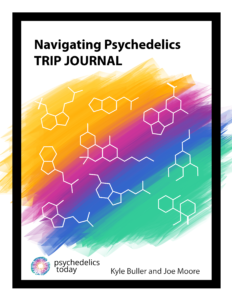 Navigating Psychedelics Trip Journal