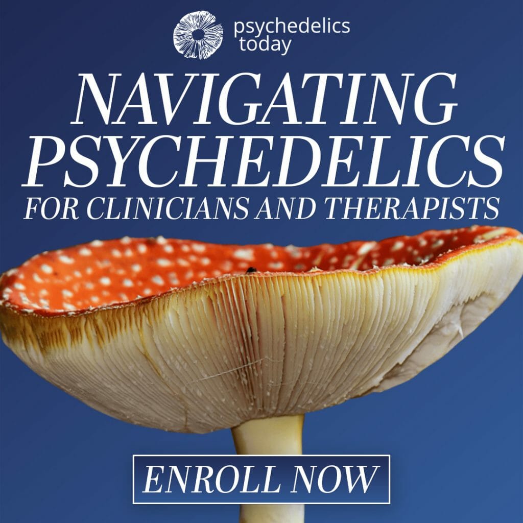 This image has an empty alt attribute; its file name is Navigating-Psychedelics-Shroom-square-1024x1024.jpg