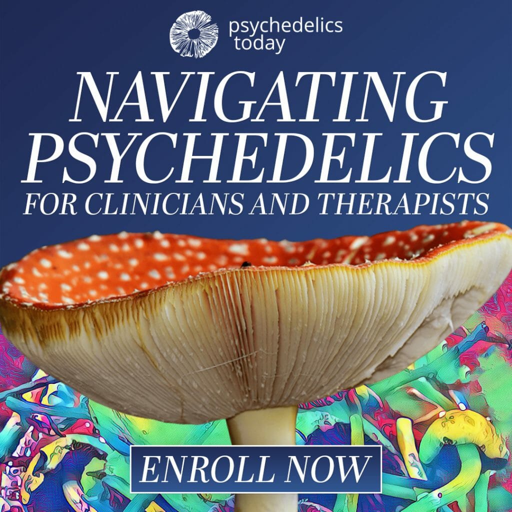 advertisement for psychedelics today course, Navigating Psychedelics for Clinicians and Therapists. Picture of a giant red Amanita Mascara mushrooms with blue background. Text reads Enroll Now