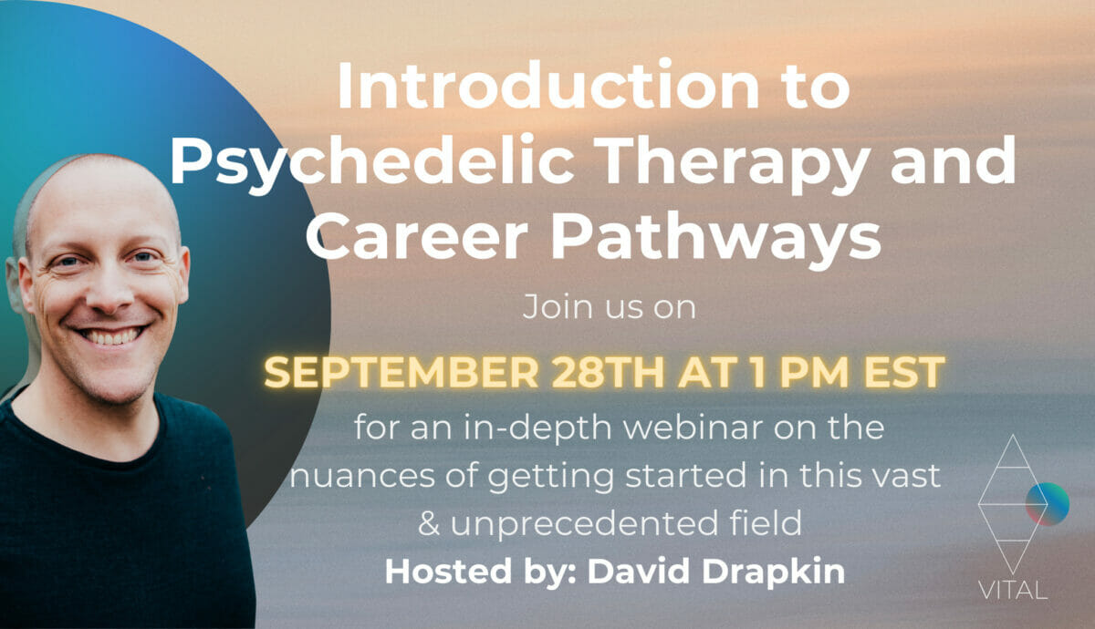 Introduction to Psychedelic Therapy and Career Pathways