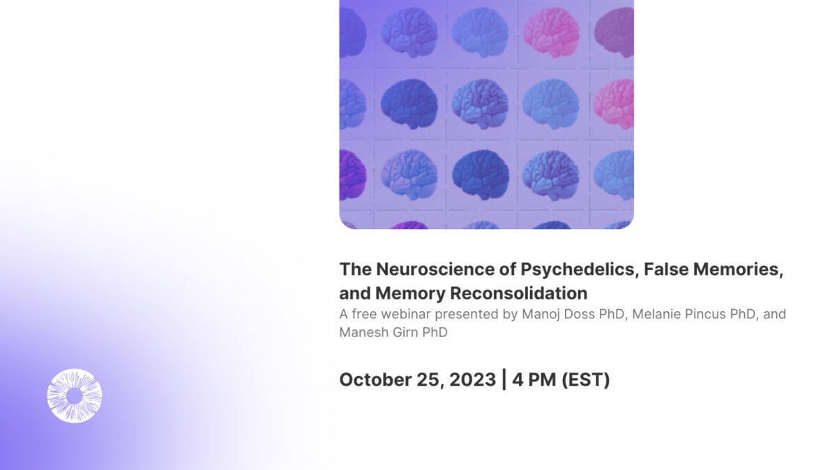 The Neuroscience of Psychedelics, False Memories, and Memory Reconsolidation