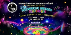 Psychedelic Insights Playground