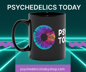 Psychedelics Today Mug