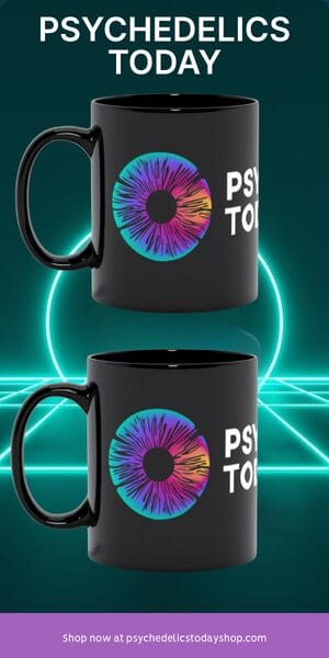 Psychedelics Today Mugs
