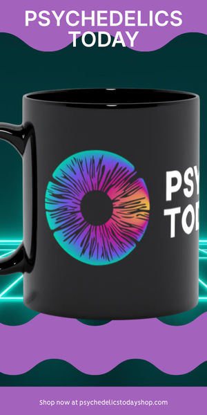 Psychedelics Today Mug