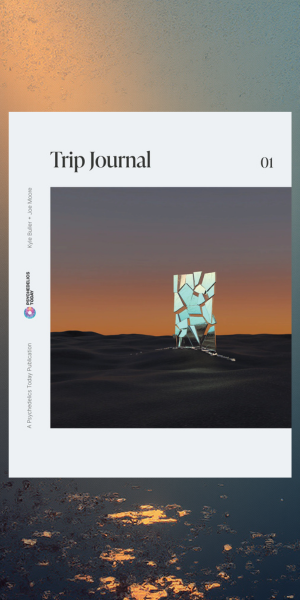 Psychedelics Today Trip Journal