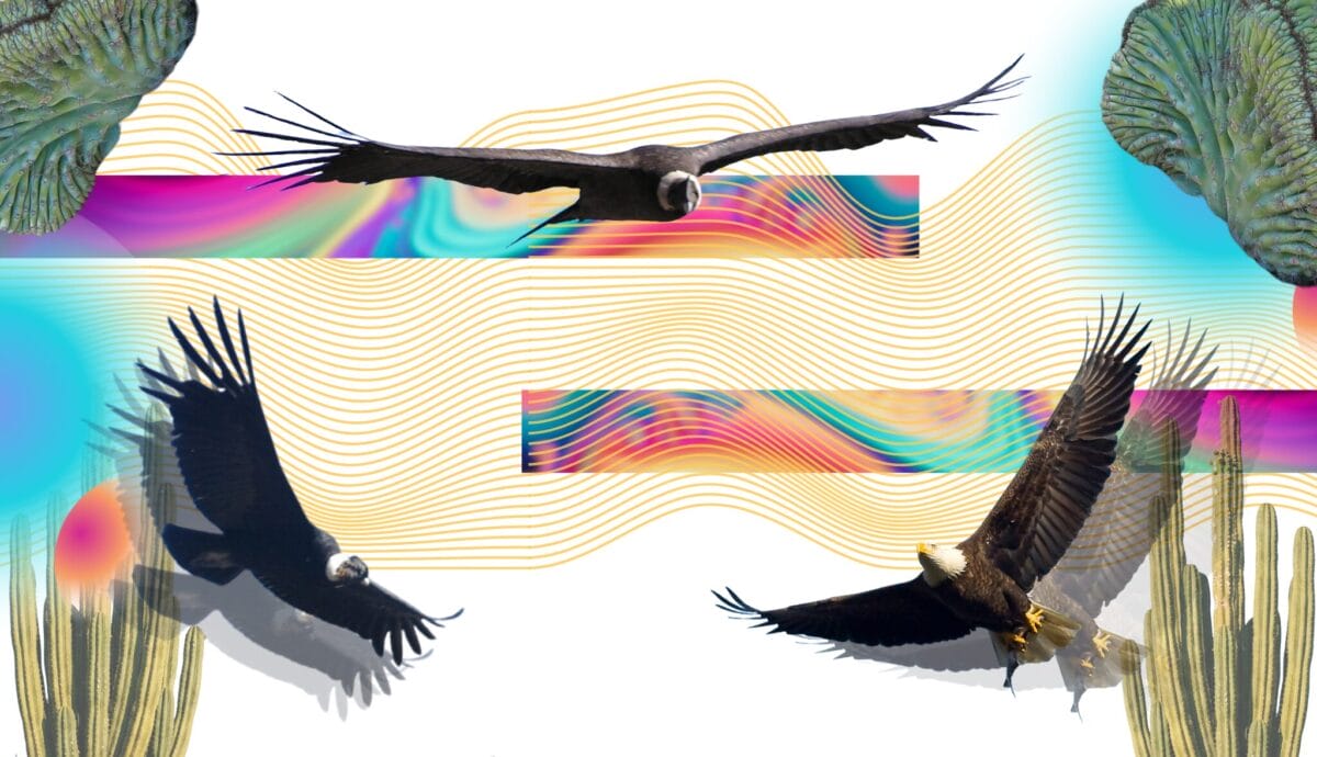 Psychedelic Medicine at the Edge of Science and Spirit