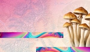 Navigating Colorado’s Regulated Psychedelic Model: Lessons From the Front Lines